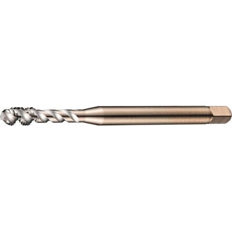 Fraise à filetages machine DIN 376C EX00 M6x1mm HSS-E-PM Vide 2,5XD 6H (1/4)