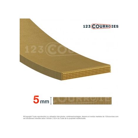 Courroie plate agrafable CP4-40-2000