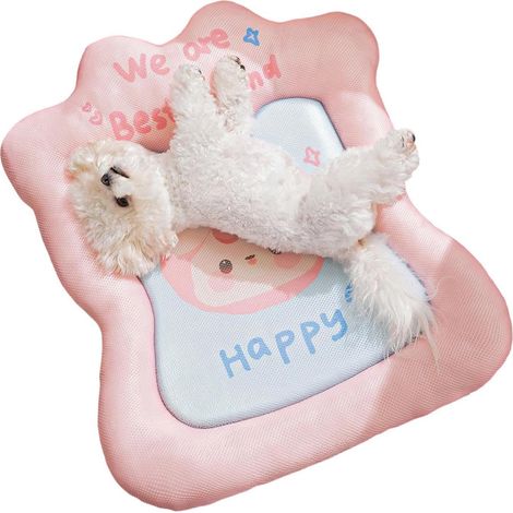 Lit rafraîchissant pour chien, fournitures pour animaux domestiques Lit rafraîchissant pour chien Pour la maison, le chevet, le sol, l'été, la plage, le camping, les chiots (1/5)