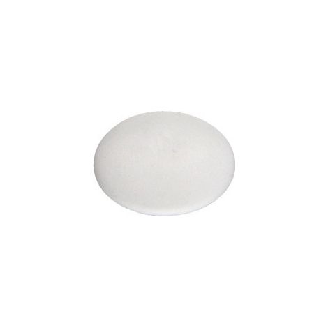 Cache tête Polyéthylène Blanc Pozi N°1 Diamètre de tête: 8