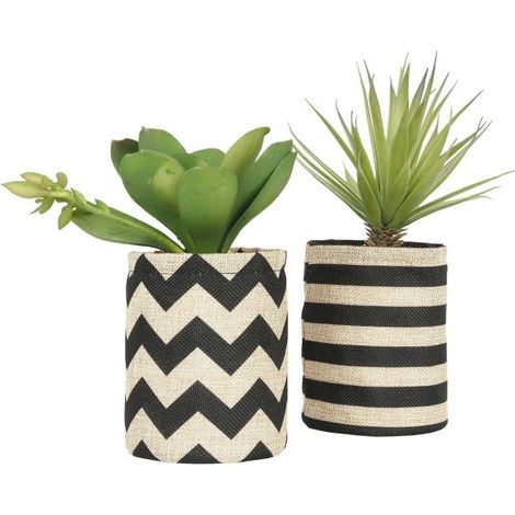 Succulentes dans pot en toile de jute 26 cm (Lot de 2) (1/3)