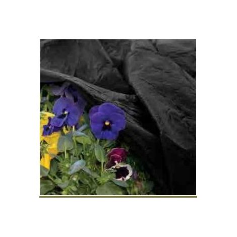 Telo tnt extra nero 70 grammi1,6x10 - biacchi ettore (1/2)