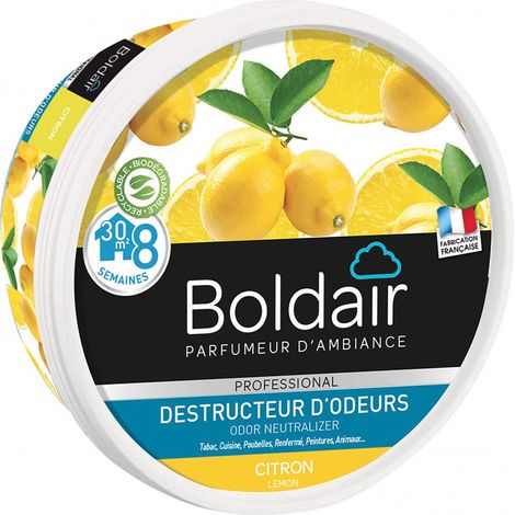 Boldair Zitronen-Geruchsentferner-Gel 300 g CENTRALE BRICO