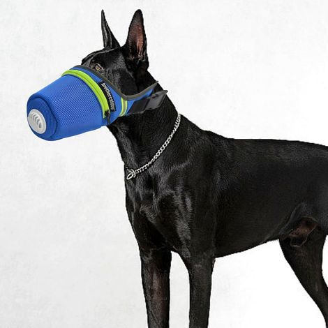 Masque pour chien, réutilisable, respirant, avec filtre à air, masque facial à gaz réglable, masque respiratoire pour chiens de grande et petite taille (gris, taille M)