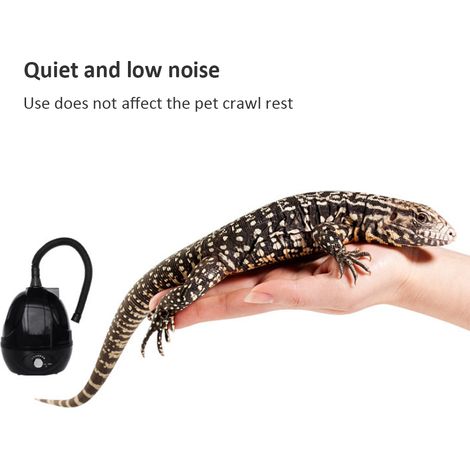 Humidificateur pour reptiles et amphibiens brumeur vaporisateur générateur de brouillard