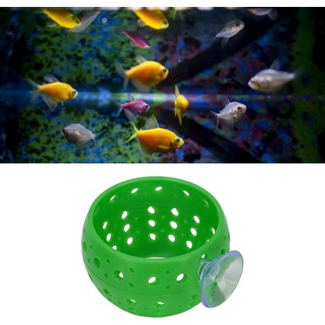 Relajante mundo submarino: hábitat para peces betta y camarones con recipiente (plástico verde). (1/5)