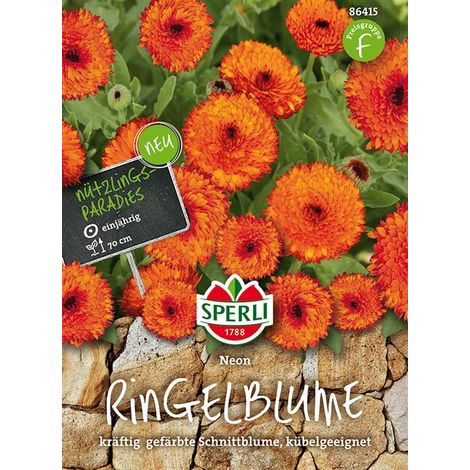 Sperli Ringelblumen Neon - Blumensamen (1/4)
