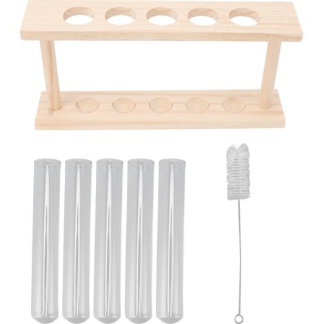 Terrarium aus Klarglas zur Beobachtung des Pflanzenwachstums mit Holzständer für 5 Reagenzgläser (1/5)