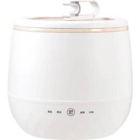 Mini cuiseur à riz 1,8 L multifonction commande par bouton antiadhésif cuit porridge prise CN 220V (1/5)