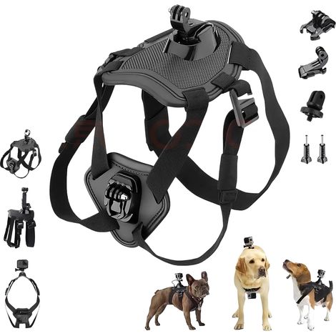 Harnais pour chien, harnais de poitrine pour caméra d'action GoPro Hero 12 11 10 9 8 7 6 Xiaomi Yi 4K pour chien, accessoire , convient pour les chiens de taille moyenne et grande (1/5)