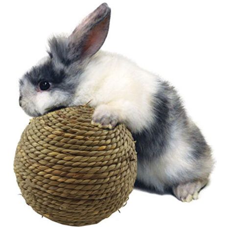 Petite Pet Chewing Jouet- Herbe Naturelle Boule Dents Nettoyage Meulage Jouets pour Lapins Chats Petits Rongeurs Qualité Supérieure Durable and Nice (1/5)