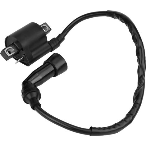 Bobine d'allumage, largement utilisée et très pratique pour l'extérieur (1/5)