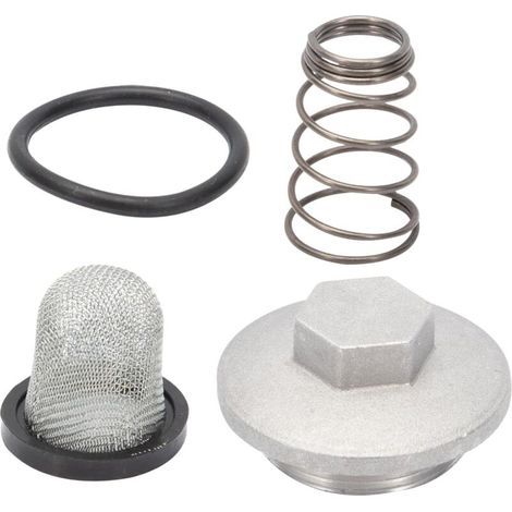 Lntyq Moto Scooter Bouchon Vidange D'huile Moteur Complet Joint Torique + Filtre + Ressort pour 50-150cc GY6 Baotian Benzhou Znen Taotao Moto Set d'accessoires (1/5)