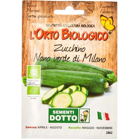 SEMENTI ZUCCHINO NANO VERDE DI MILANO (1/3)