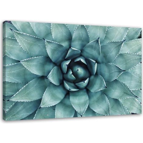 Tableau sur toile Plante d'aloe vera Fleur 60x40 (1/5)