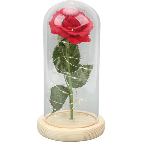 Rosen unter Glas, Symbole für Glück, Schönheit und Romantik, werden von LEDs beleuchtet und sind somit ein ideales romantisches Geschenk zum Valentinstag. (Grüne Blätter und rote Blüten) (1/5)