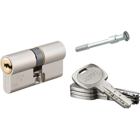 THIRARD - Cylindre de serrure double entrée Transit 2 pour serrure Trimax A2P, 30x30mm, nickel, 4 clés - THIRARD (1/3)