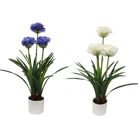 Pot Agapanthe Grand Format Design Polyvalent Et Robustesse Pour Extérieur - Basics