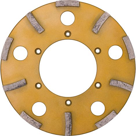 Eibenstock Diamant-Schleifteller Ø 235 mm (für Beton) für EBS 235.1 (1/4)