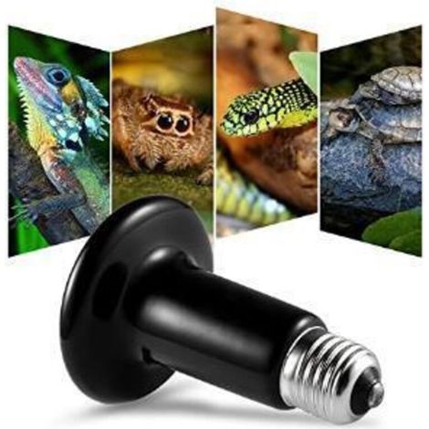 Heizlampe für Reptilien-Heizlampe 200W 220V, wasserdichte Infrarot-Keramik-Heizlampe E27 Keramik-Heizlampe für Amphibien Reptilien (1/5)