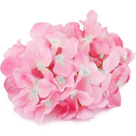 20 Hortensienblüten (1/3)