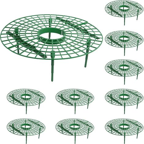 Filiyano-Ensemble de 10 supports à fraises - Cadre pour garder les fraises du jardin propres (1/5)