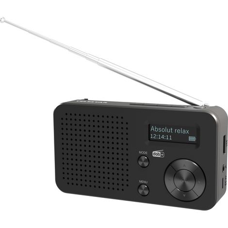 Telestar TELESTAR TOP 100 Schwarz Akku-Radio DAB+, UKW Bluetooth®, USB Akku-Ladefunktion, wiederauf