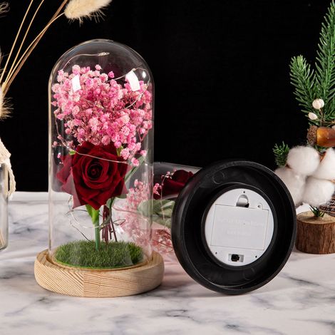 Rose Artificielle - Dôme En Verre Avec Éclairage LED - Décoration Intérieure Pour Salon Chambre Bureau - 1 Pièce (1/5)