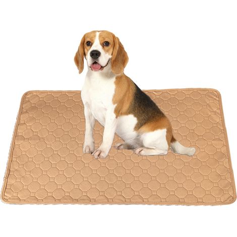 2 tapis d'apprentissage pour chiens, réutilisables, super absorbants, imperméables, antidérapants, pour éducation et mise bas (1/5)