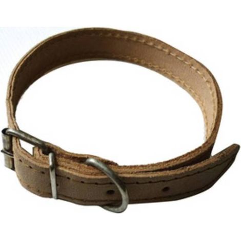6 x COLLARE P/CANI IN PELLE 20 X 440 MM