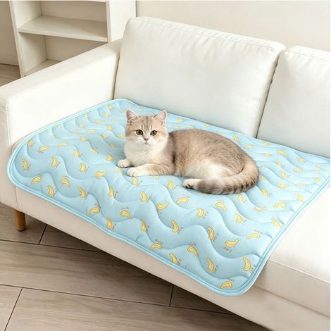 Tappetino rinfrescante per gatti e cani di piccola taglia, tappetino auto-rinfrescante traspirante e refrigerante per animali domestici, cuccia e materassino per dormire per cani blu M: 60 x 50 cm Blu (1/5)