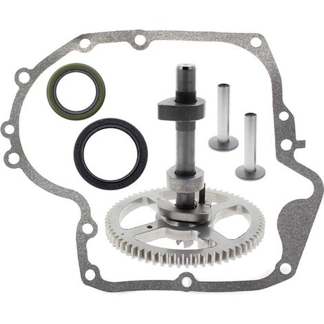 The camshaft 793880 fits Briggs & Stratton models 793583, 792681, 791942 and 795102.--DTEKGAZ