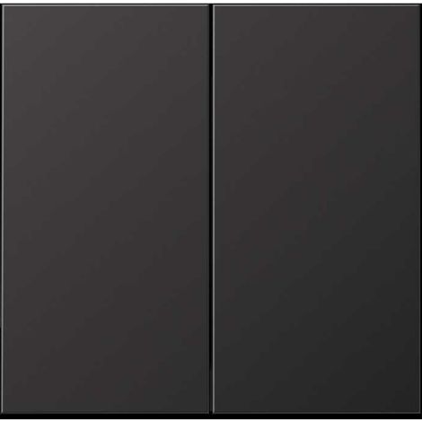 Placca interruttore Jung al 2995 d alluminio IP44 22x10 cm