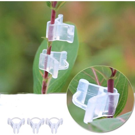 Filiyano-100 pinces de bouturage, mini pinces de bouturage en plastique transparent, pinces pour tiges de tomates, pinces pour graines (1/5)