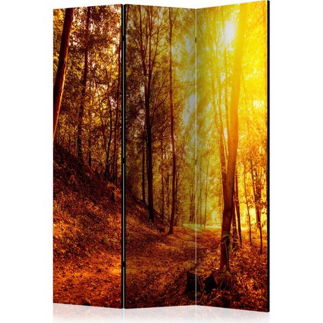 Paravent 3 Volets "Autumn Walk" 135x172cm (1/2)