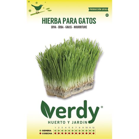 Bustina di semi di erba gatta Verdy