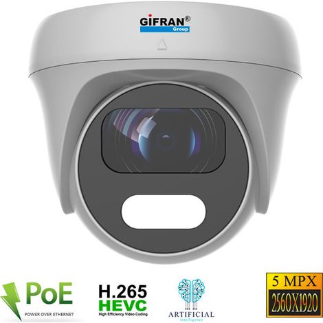 Telecamera mini dome da esterno professionale PoE 5MPX (1/2)