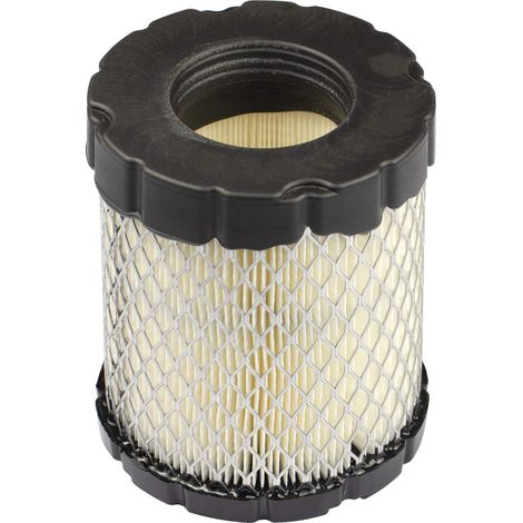 Filtro Air BRIGGS et STRATTON 798897 (1/5)