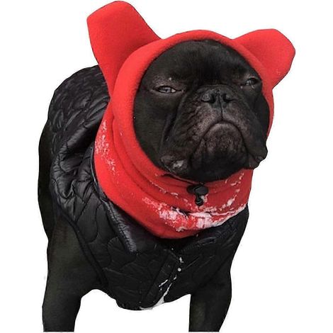 Bonnet d'hiver pour chien en polaire chaude, couvre-oreilles ajustable, protection contre le vent et le cou. (1/5)