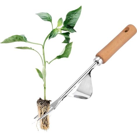 Arrache-mauvaises herbes et arrache-racines en acier inoxydable avec manche en bois, outil manuel pour creuser, désherber et biner, cadeau idéal pour tous les passionnés de jardinage. (1/4)