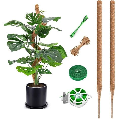 Monstera Stick, 75cm Coconut Stick, Flexible Monstera Moss Stick with Accessories, Coir Stick for Indoor Climbing Plants MUMU (1/4)