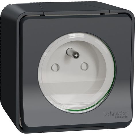 Mureva - prise de courant 2P+T NF - gris - en saillie - IK08 IP55 - MUR36030