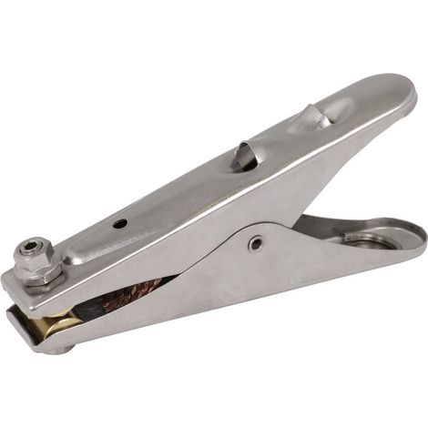 DEHN 546001 EZ 55 FL45 ASM10 V2A Pince de mise à la terre (1/2)