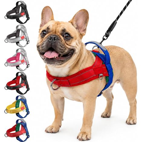 Ensemble Harnais et Laisse pour Chien de Taille Petite et Moyenne (1/5)