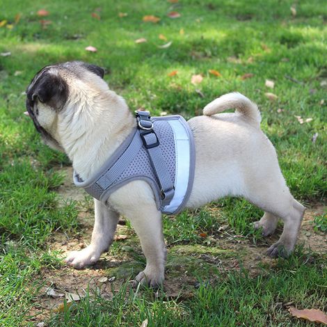 Zugfreies Hundegeschirr, Haustiergeschirr zum Überziehen, weiches Netzgeschirr für Hunde und Katzen, verstellbares Westengeschirr zum Überziehen für Haustiere im Freien, reflektierendes Geschirr für K
