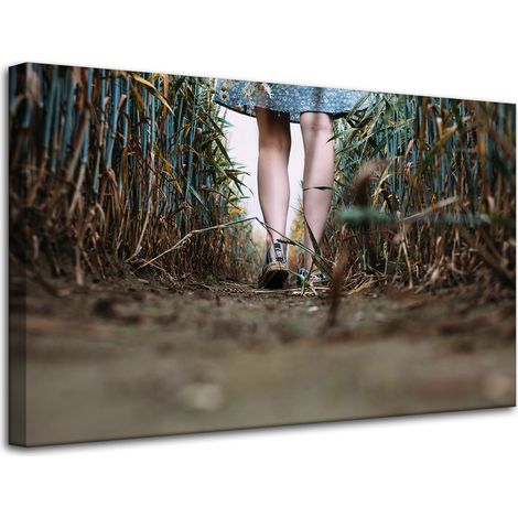 Lienzo impreso Naturaleza Un paseo por el campo 80x50 cm