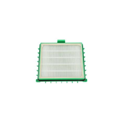 Filtre HEPA pour aspirateur Rowenta Silence Force ZR002901 RO4421 RO4427 (1/2)