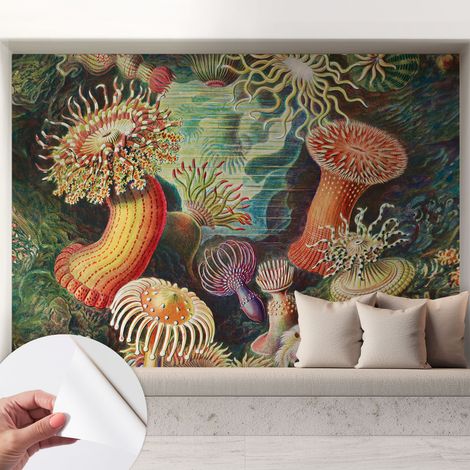 Carta da parati autoadesiva - Fotomurale adesivo - soggiorno moderno - resistente - Anemoni fantastici 208x146 cm (1/5)