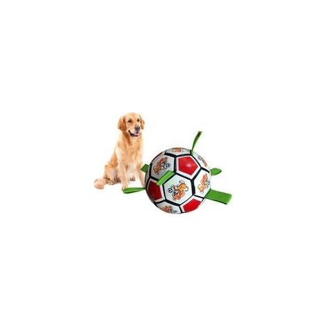 Hundebiss-Fußballspielzeug (1/5)