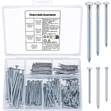 251 Pièces Assortiment de Clous, Clous Muraux en Béton, Pointes et Cclous d‘Accrochage pour Accrocher Images Travail du Bois